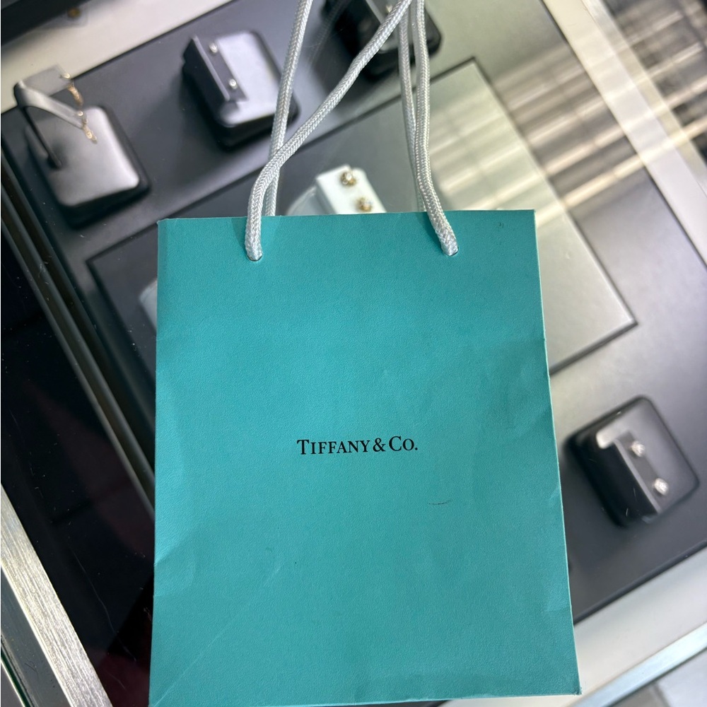 Tiffany & Co. Gift Bag Size 9in x 4.75in